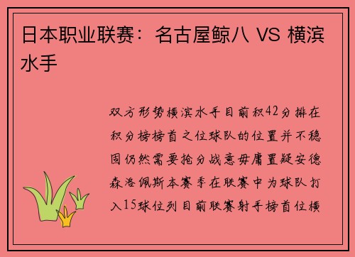日本职业联赛：名古屋鲸八 VS 横滨水手